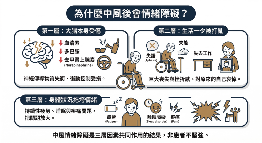 【中風心理】中風後情緒障礙怎麼辦?〡五種症狀辨識、七個照顧建議與治療選項完整指南 5 Gemini_Generated_Image_lh7isjlh7isjlh7i
