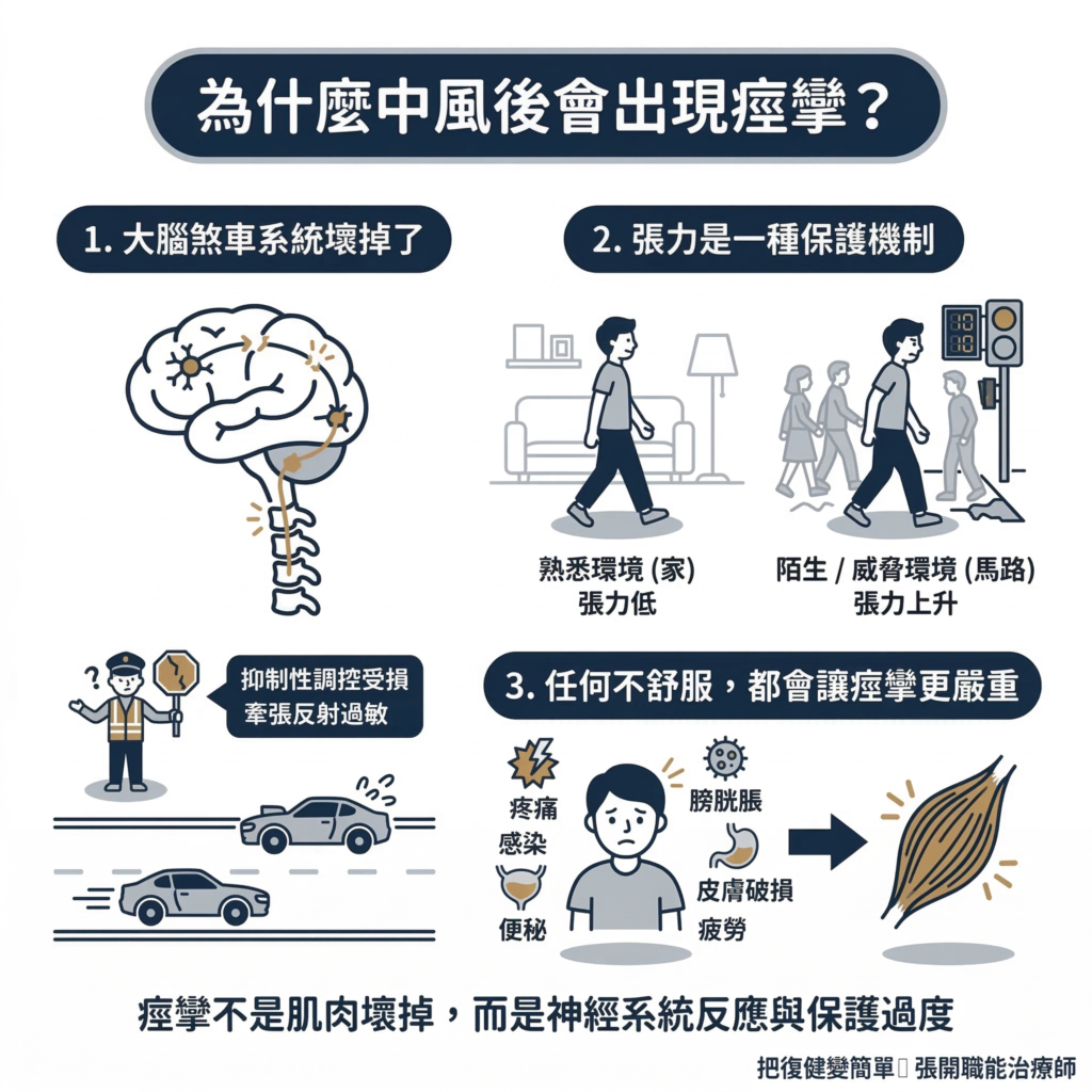 【中風復健】中風後痙攣完整指南〡什麼是痙攣?為什麼會發生?在家怎麼做? 7 Stroke Rehab Spasticity Vs Weakness Vs Contracture:5