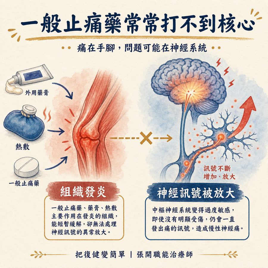 【中風症狀】中風後神經痛〡為什麼幾個月後才開始痛,而且一般止痛藥常常沒效? 6 一般止痛藥常處理組織發炎,但中風後神經痛核心是神經訊號被放大