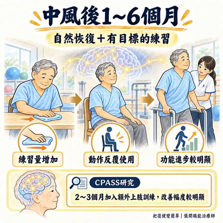 【中風復健】中風恢復時間表〡第 1 天、3 個月、半年到一年後會發生什麼? 7 中風後一到六個月自然恢復與有目標練習同步進行