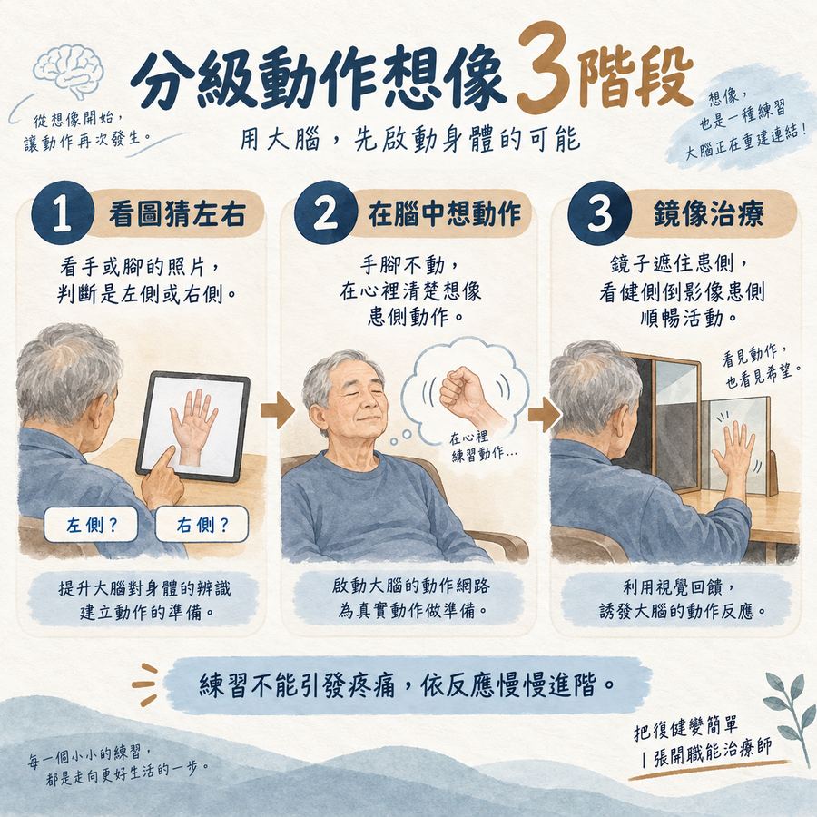 【中風症狀】中風後疼痛怎麼辦?〡中風後的 3 種疼痛與處理方式 9 分級動作想像從左右辨識、動作想像到鏡像治療的三階段